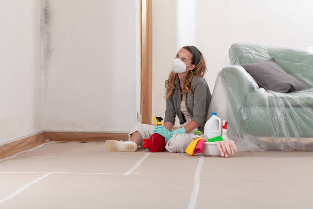 Reliable Mold Remediation contractor in Uniondale, NY by WQB Mold Removal